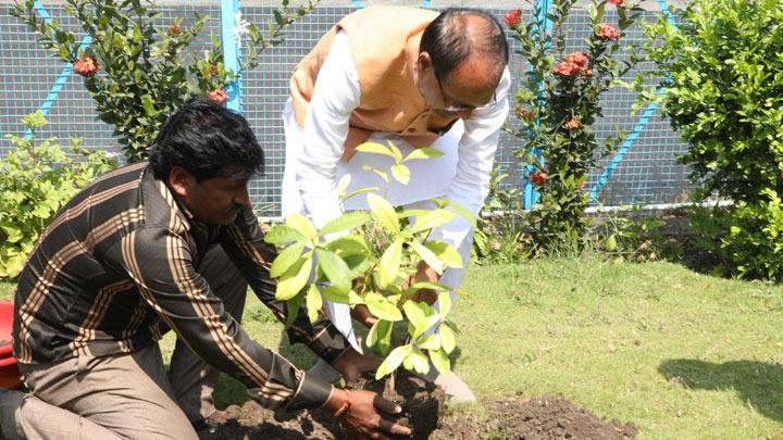 मुख्यमंत्री श्री चौहान ने राजकीय विमानतल पर पौध-रोपण किया